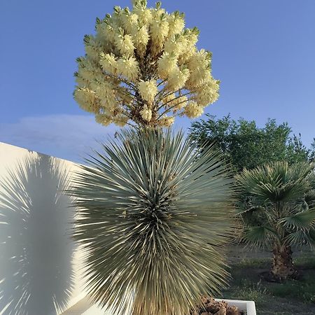 Cortijo Oro Verde B&B ตาแบร์นาส ภายนอก รูปภาพ