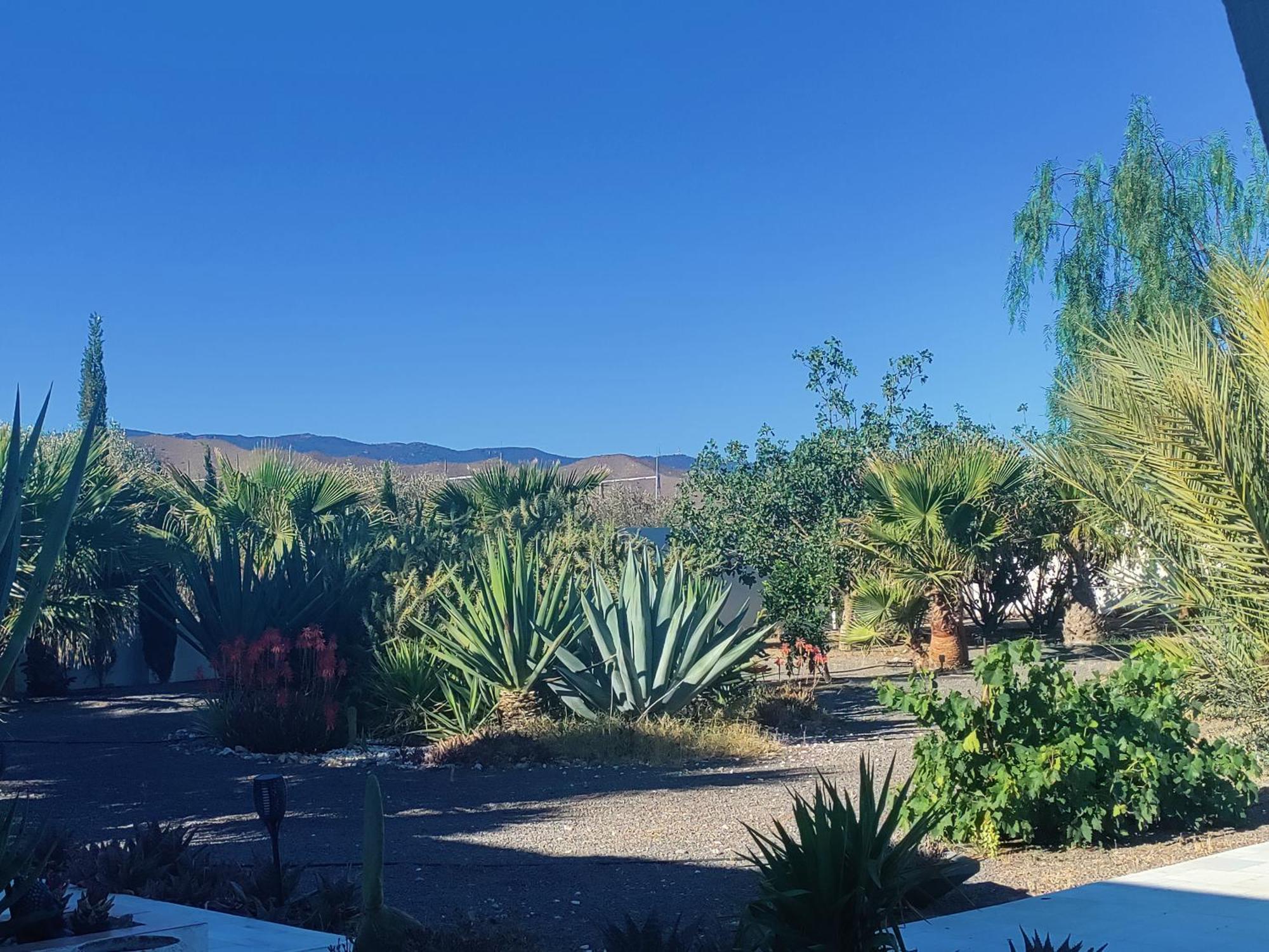 Cortijo Oro Verde B&B ตาแบร์นาส ภายนอก รูปภาพ