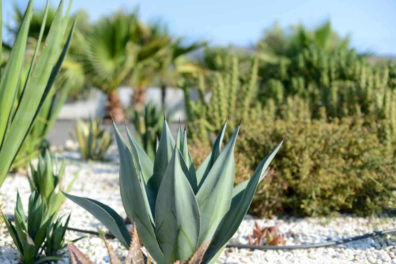 Cortijo Oro Verde B&B ตาแบร์นาส ภายนอก รูปภาพ